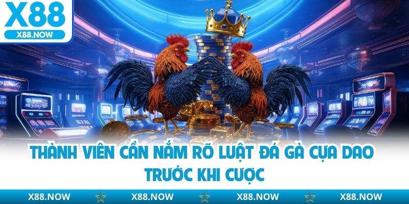 Thành viên cần nắm rõ luật đá gà cựa dao trước khi cược